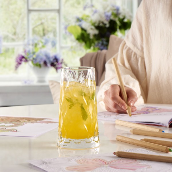 Leafy Hiball Tumbler 450ml - Pasabahce