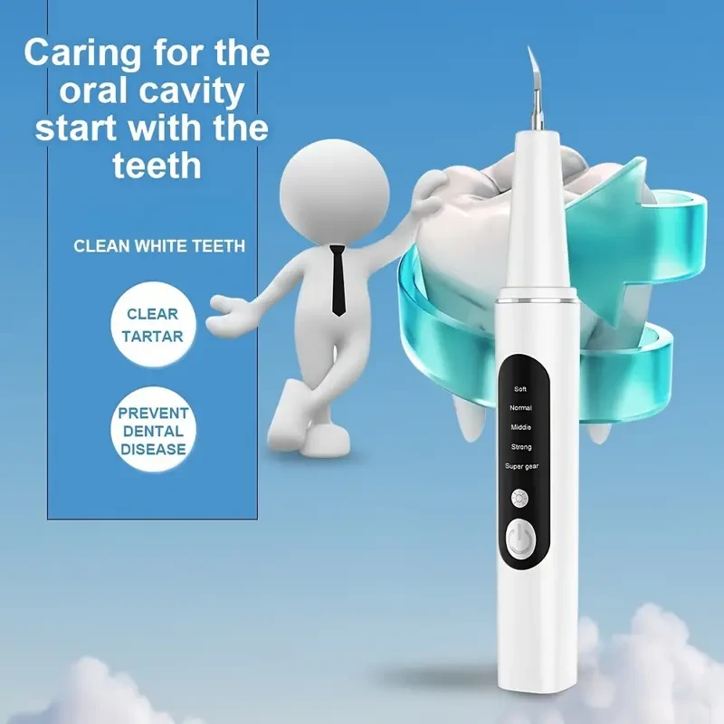 Electric Oral Cleaner Kit - Dental Cleaning and Whitening Flosser with Replaceable Toothbrush Heads