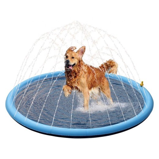 Dog Paddling Pool
