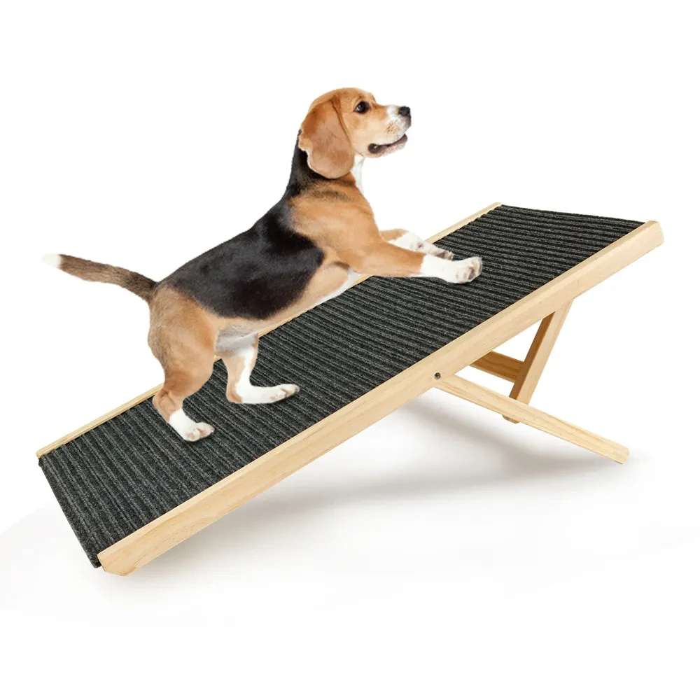 Pet Pool Ramp