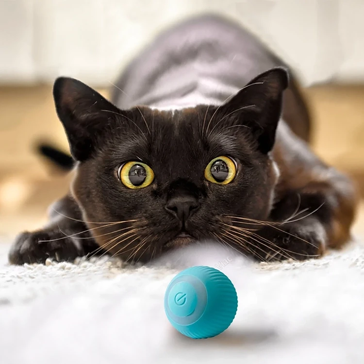 Electric Ball Cat Toy
