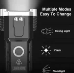 Multifunctional Torch