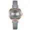Ladies Small Dial Belt Watch Roman Character Quartz Business Watch