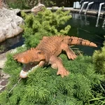 Remote Control Shark Boat