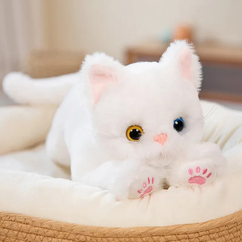 Cartoon Kitty Doll Plush Toys