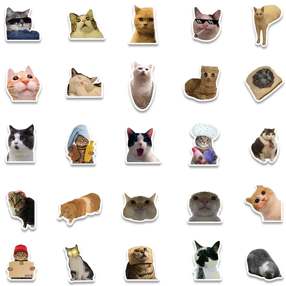 Cat Sticker