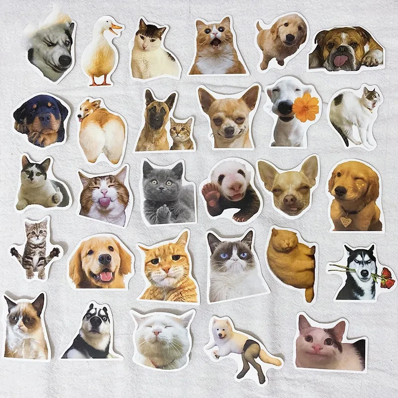 Meme Wall Decals