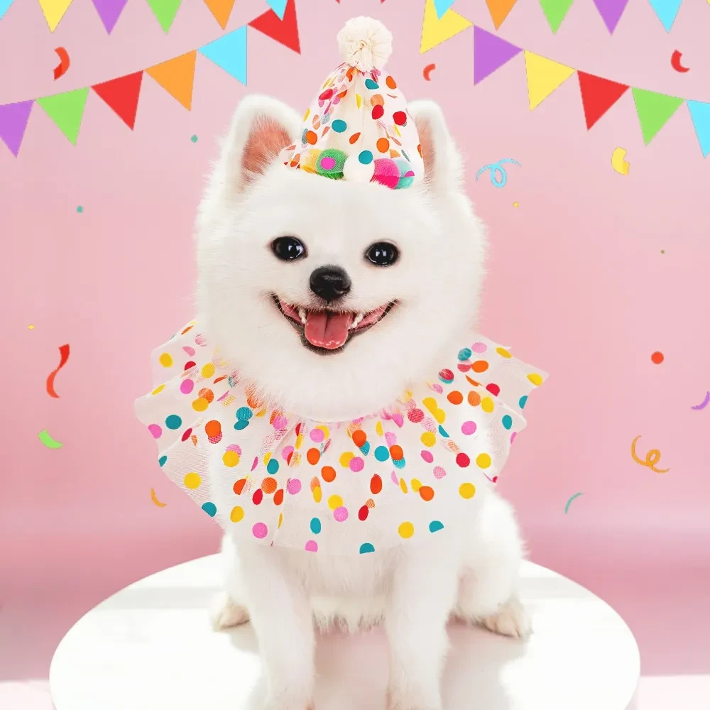 Dog Birthday Suit