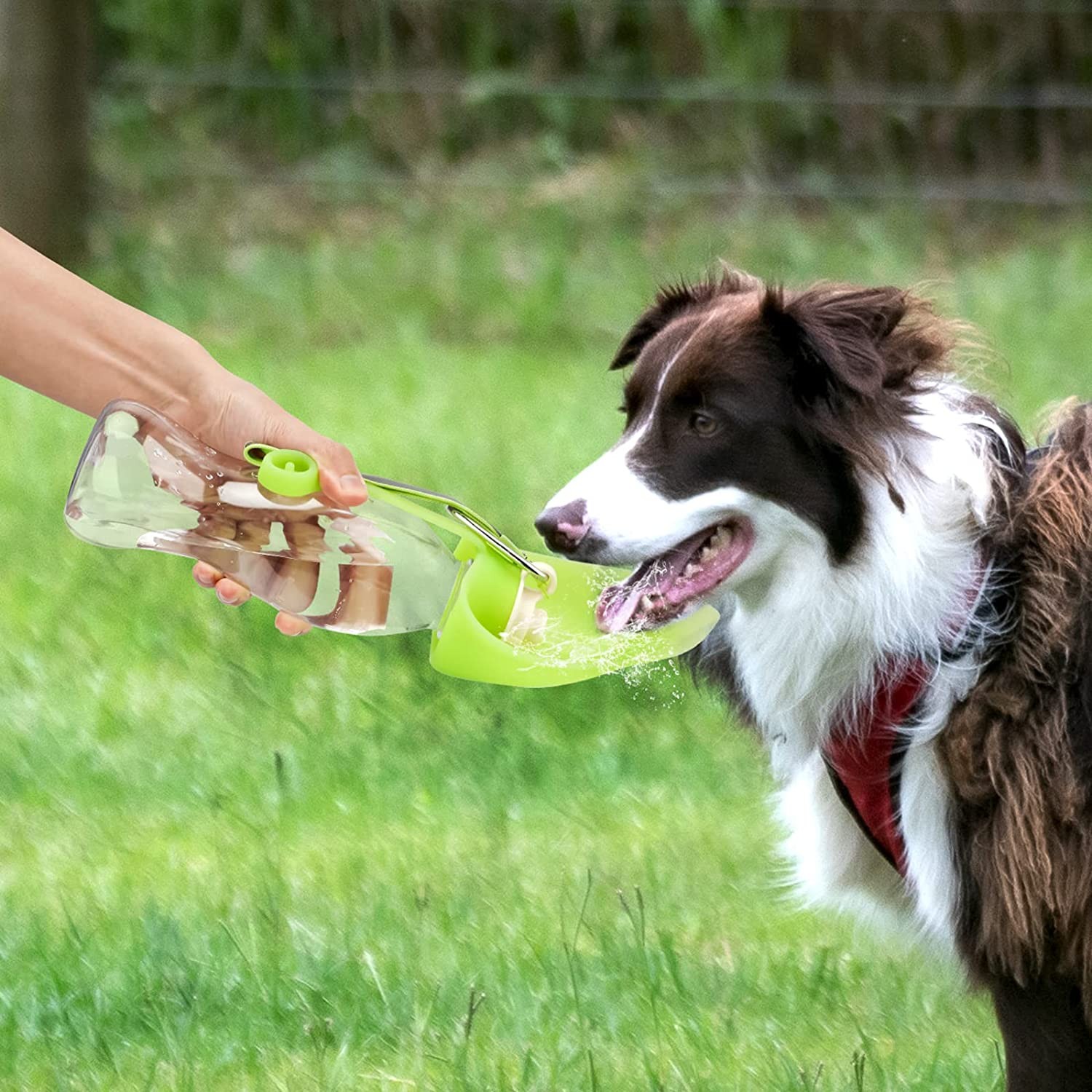 Pet Water Dispenser Bottle