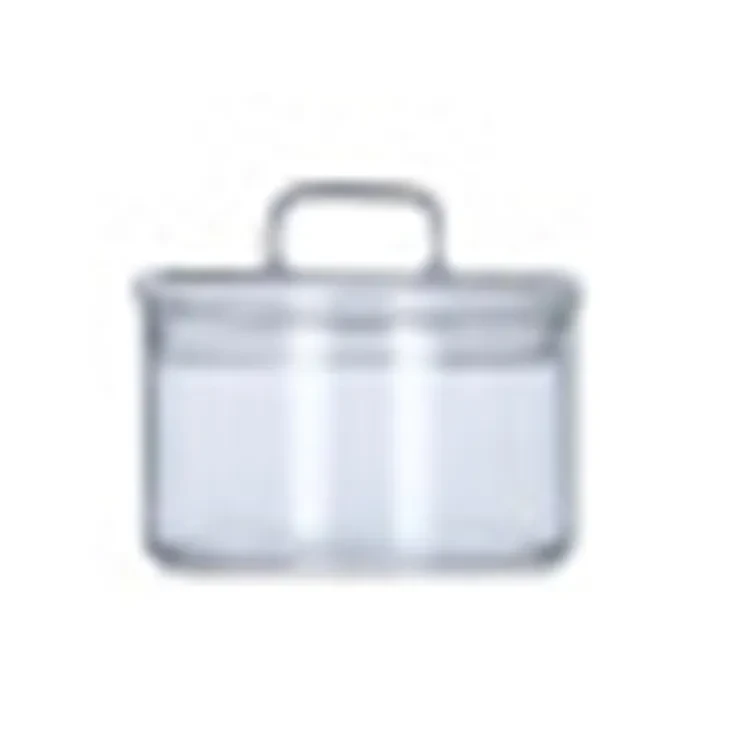 Pyrex Glass Bowl Transparent With Lid Fruit Desserts Candy Snacks